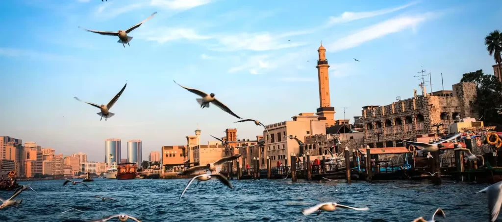تصویری از پرواز پرندگان بر روی خور دبی در منطقه بر دبی
